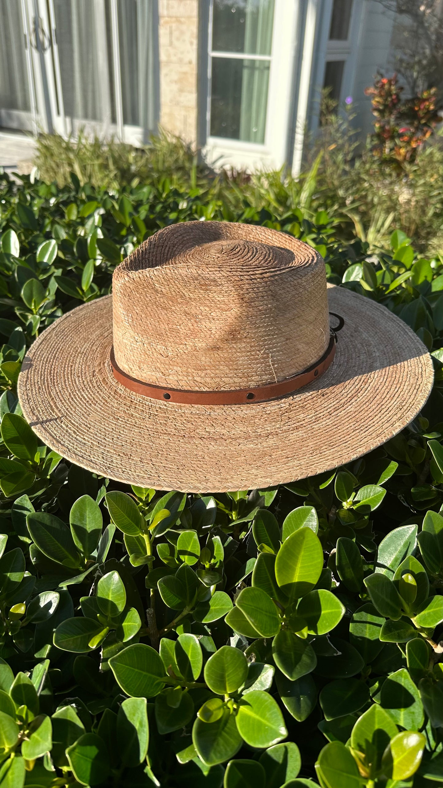 Fish and Whistle Style Hat Band